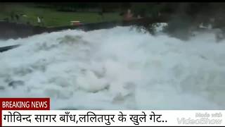 preview picture of video 'Govind Sagar Dam(गोविन्द सागर बाँध ललितपुर)Lalitpur Gate Open..गेट खुलने पर निकल भयंकर पानी'