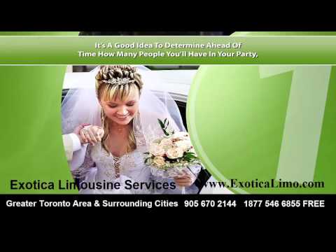 download lagu mp3 mp4 Wedding Limo Service Mississauga, download lagu Wedding Limo Service Mississauga gratis, unduh video klip Wedding Limo Service Mississauga