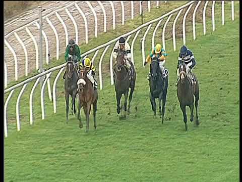 Galoppo 20/02/2018 - 3ª corsa