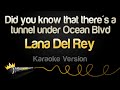 Lana Del Rey - Did you know that there's a tunnel under Ocean Blvd (Karaoke Version)