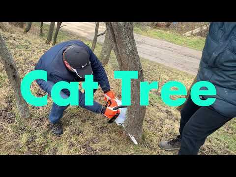 How to DIY Cat Tree