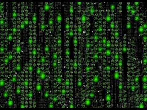 Aphid Moon & Made On Earth - Neblina