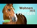 Wohnen Mit Pferden
