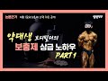 약대생보디빌더의 보충제 상급노하우 100% 오픈!!