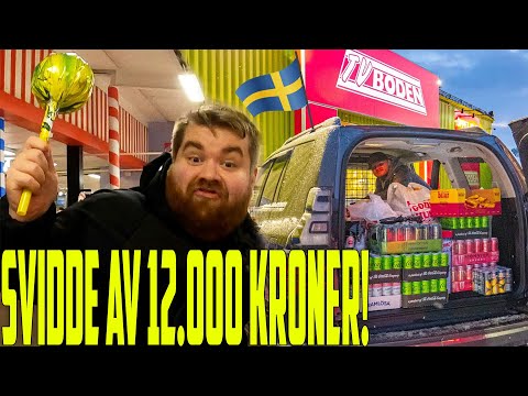 FYLLER OPP EN VAREBIL PÅ HARRYHANDEL! | SVERIGETUR!