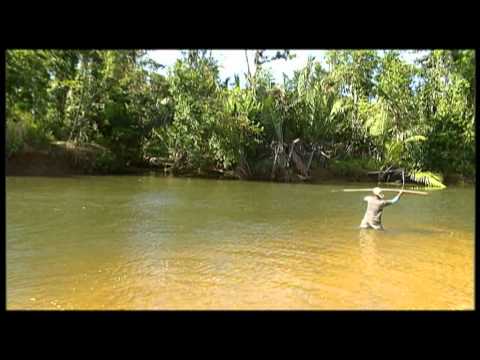 Lockhart River Bush Food