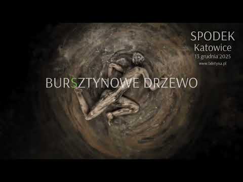 Bursztynowe Drzewo SPODEK Katowice 13 grudnia 2025