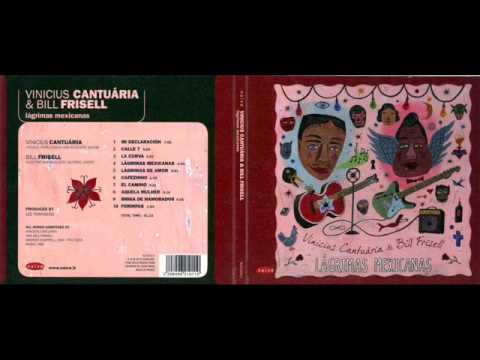 Bill Frisell & Vinicius Cantuária - Lágrimas Mexicanas