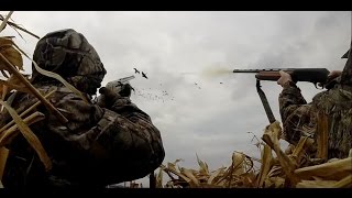 preview picture of video 'Goose Hunt Day 2 in Finger Lakes Region of New York 12/28/2014'