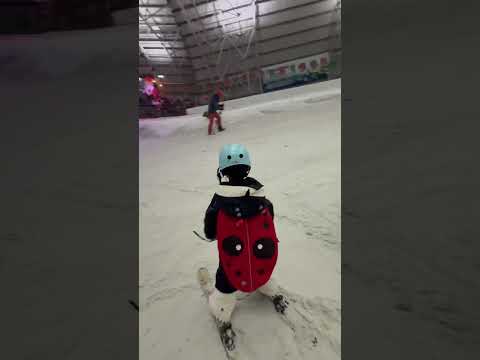 試著拼腿橫滑～歡迎詢問#苗場王子大飯店 #雪板 #snowboarding #單板滑雪 #滑雪教練#雪板教練 #苗場スキー場 #苗場滑雪教練 #滑雪課程 #ski