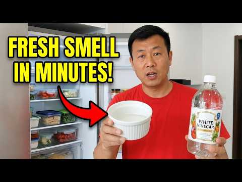 The $2 CHINESE Vinegar Fix for a STINKY Fridge (Fresh in Minutes!)