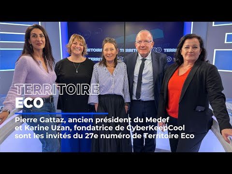 Pierre Gattaz, CEO of Radiall and former president of Medef, is the guest of Territoire Eco