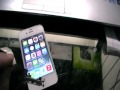 Решение проблемы со звуком Apple IPhone 4S 