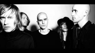 Max Elto Backyard Animals