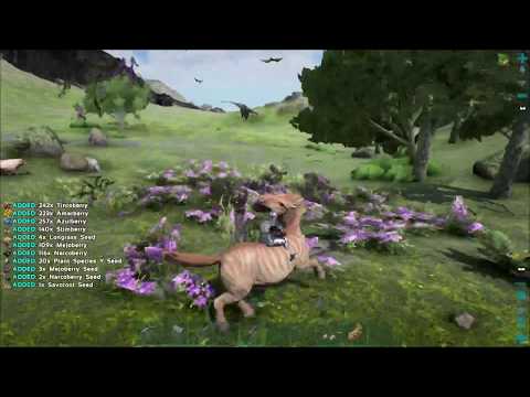 Can an Equus collect Berries ? - ARK Ragnarok