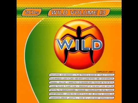 WILD FM VOLUME 13 - WILD VOLUME 13 MEGAMIX (KCB)