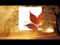 Mesut Kurtis Burdah