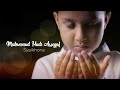 Muhammad Hadi Assegaf Syaikhona Official Lyric Video
