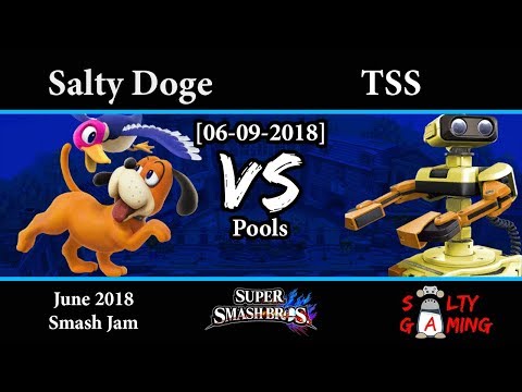 [2018-06-09] Wii U - Salty Doge (Duck Hunt) vs TSS (Rob, Cloud) Pools
