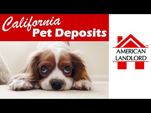 California Tenant Pet Deposits | American Landlord