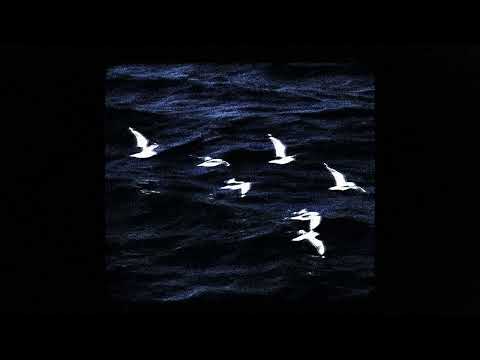 OJEEZ II and Breezy January