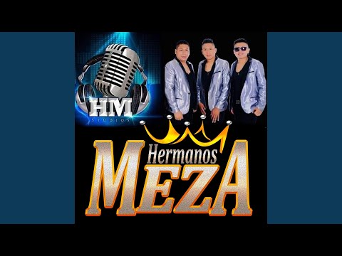 Mi Vida Ya No Es Vida