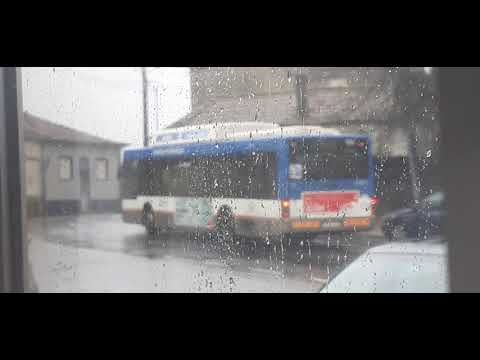 STCP No Linha 805 Veículos 3141, 3151,