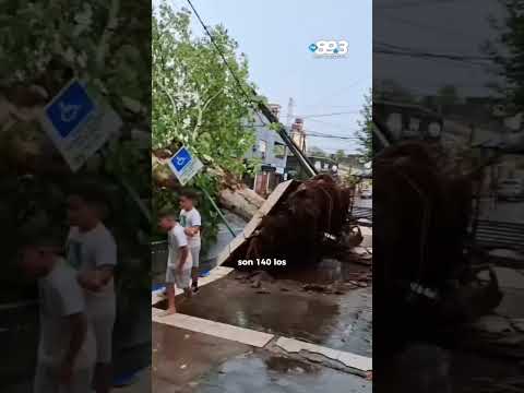 🌧️🚨 Tras el temporal en Misiones: asistencia a las familias afectadas y monitoreo permanente