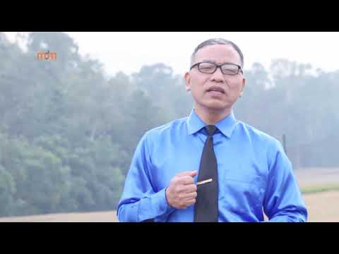 LAWMKIMA COLNEY - SIKNI ENG (OFFICIAL)