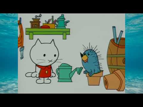 Musti en de bloempot