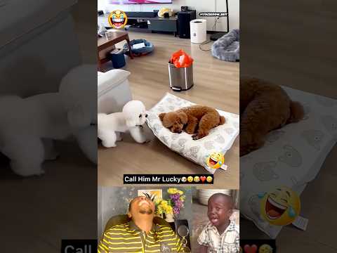 Time For Practice #trending #funny #shorts #comedy #subscribe #foryou