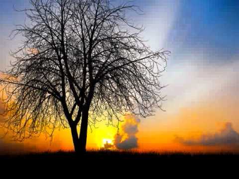 Origene - Sanctuary (Harry Lemon remix)