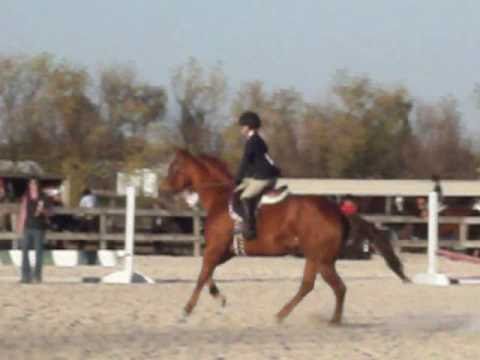 W€®£ Gøññð Mðk€ §ØM£ ÑÕÌ§€