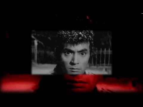 TRZECI WYMIAR "Kod Bushido" (Du-Rzy Remix)