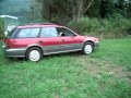 Subaru Outback 4 Wheel Burnout In Grass