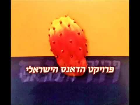 עינבל פרלמוטר - זהירות מהמרווח (זהירות Remix)