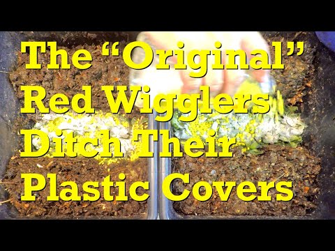 Time for more pourous covers on 82-day "original" red wiggler worm bins - vermicompost