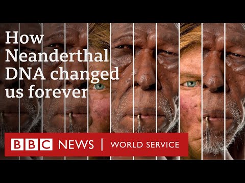與尼安德特人發生性關係如何徹底改變了我們 - BBC 全球服務 (How sex with Neanderthals changed us forever - BBC World Service)