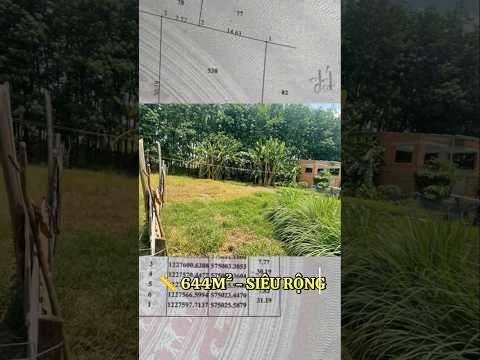  644 MV - 50 THỔ CƯ - SỔ HỒNG RIÊNG - CÔNG CHỨNG NGAY TRONG NGÀY