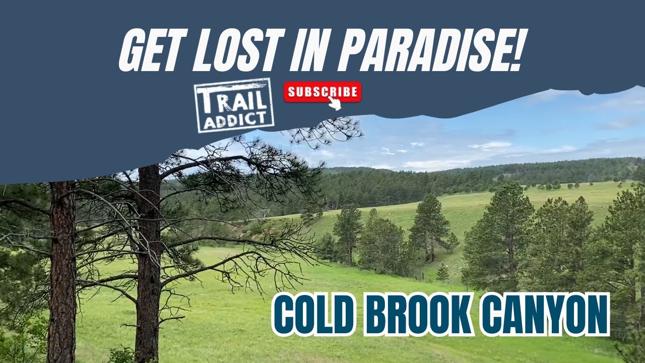 Cold Brook Canyon (Wind Cave Natl Park, SD) - Wildflowers & prairie dogs on this hiking trail!