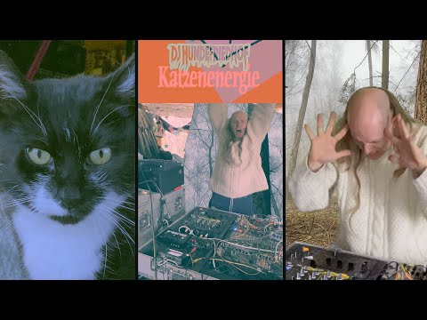 DJ HUNDEFRIEDHOF - Katzen Energie