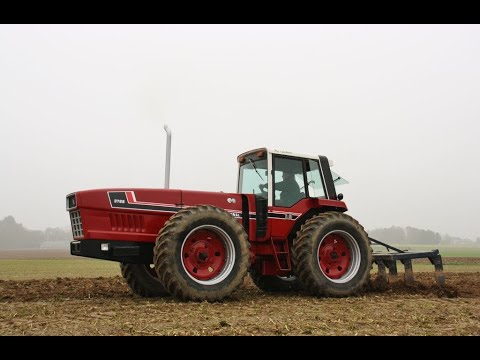 Landb. De Rijck - Asse - International 3788 - Snoopy - Preview