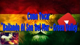 ¡¡Como Tocar "Bailando Al Son Del Mar - Green Valley" Completa, En Guitarra Acustica!!