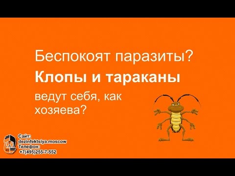 prew youtube