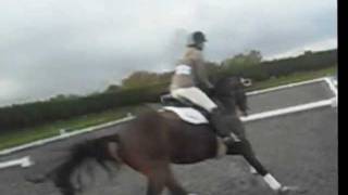 ELEMENTARY DRESSAGE FAIL :&#39;) @ Sheepgate 30th Oct 2011