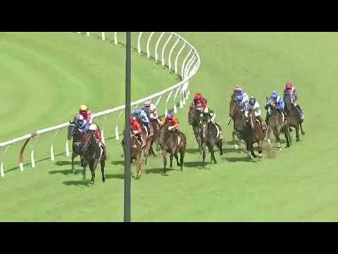 GIVE ME SPACE (3YO VO ROGUE) - 1300M - E FM 28/12/24