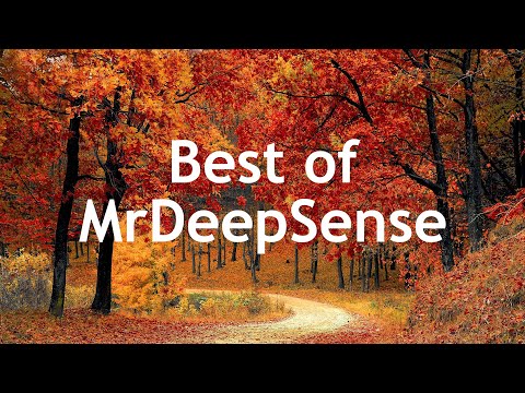 Best of Mr Deep Sense: An Selected Mix for 2019