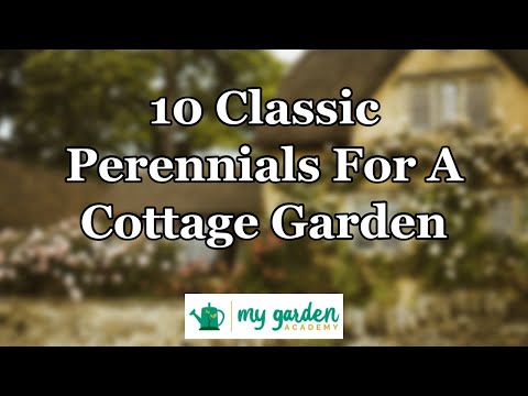 10 Classic Perennials For A Cottage Garden