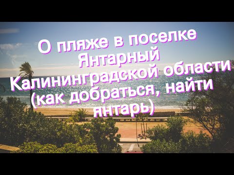 О пляже в поселке Янтарный Калининградской области (как добраться, найти янтарь)