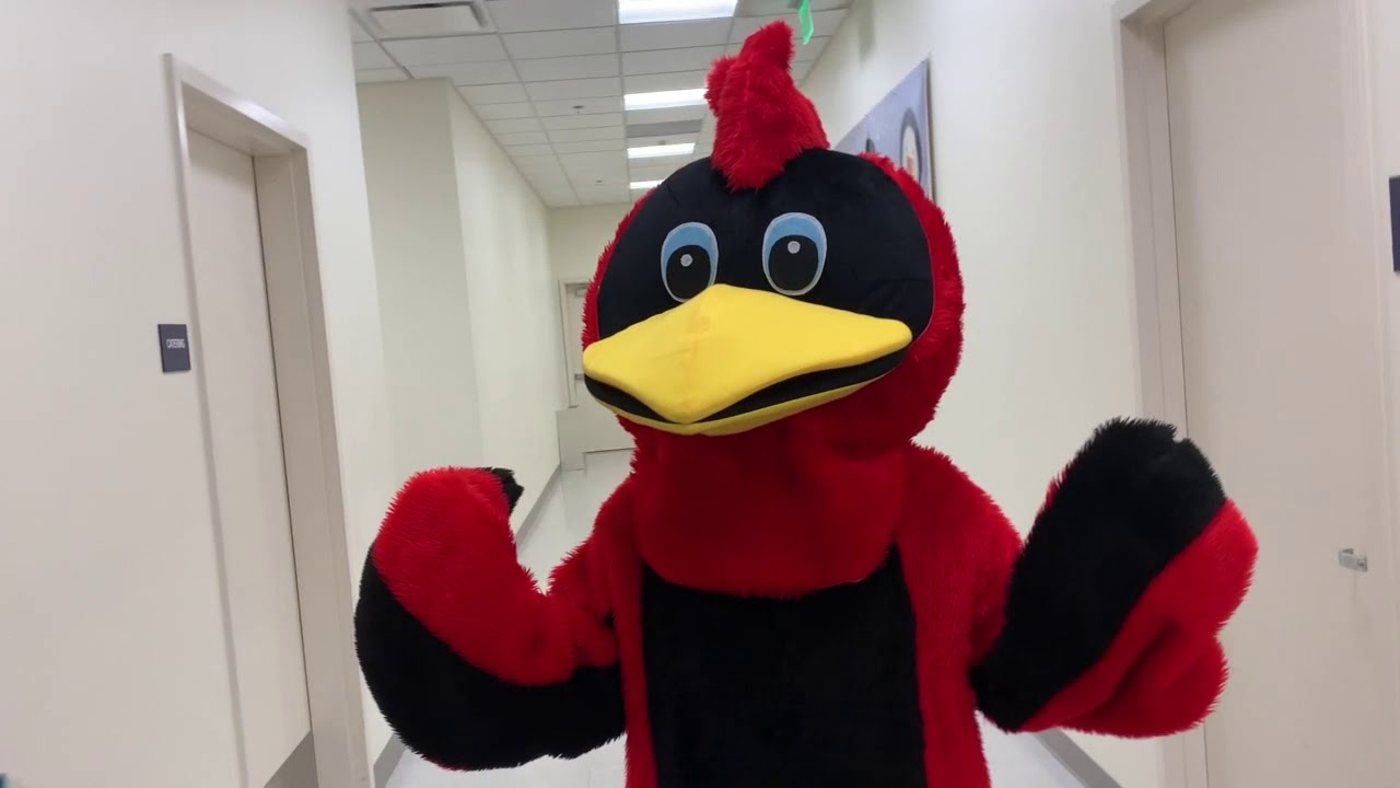 Fairfax Christian School — video